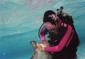 Claudia diving